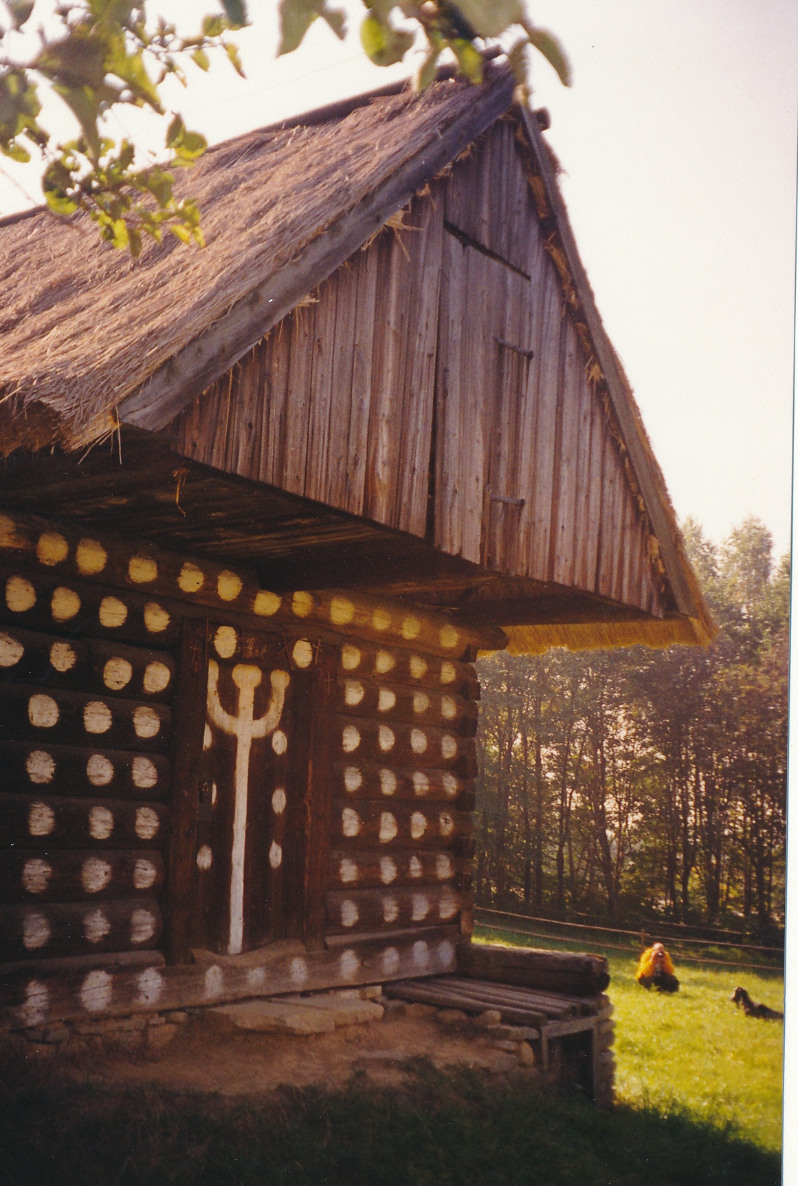 eika image